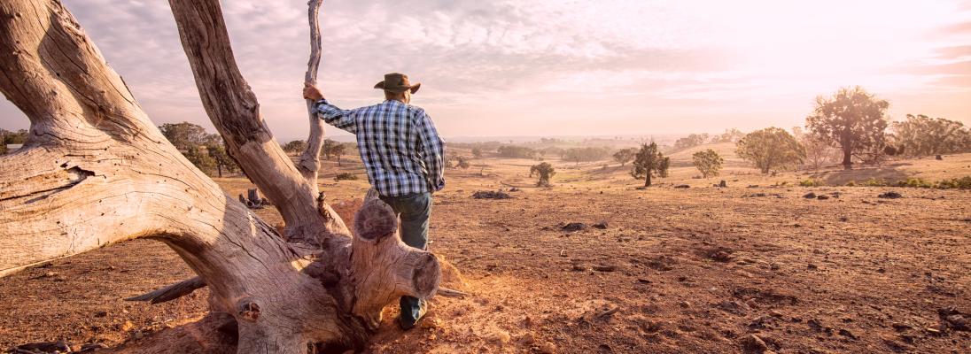 Male farmer looking out at dusty farmland.