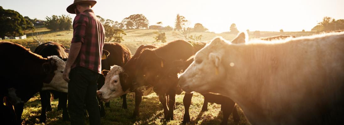 Climate Change Authority releases new consultation paper