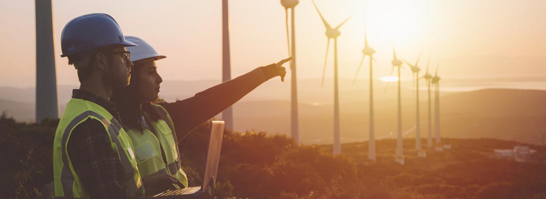People in high vis work gear at sunset near wind turbines