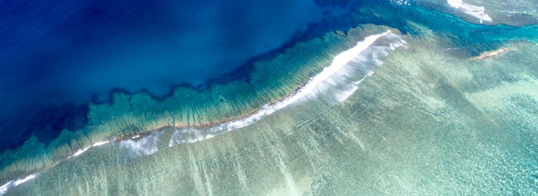 Aerial view down on beach coastline