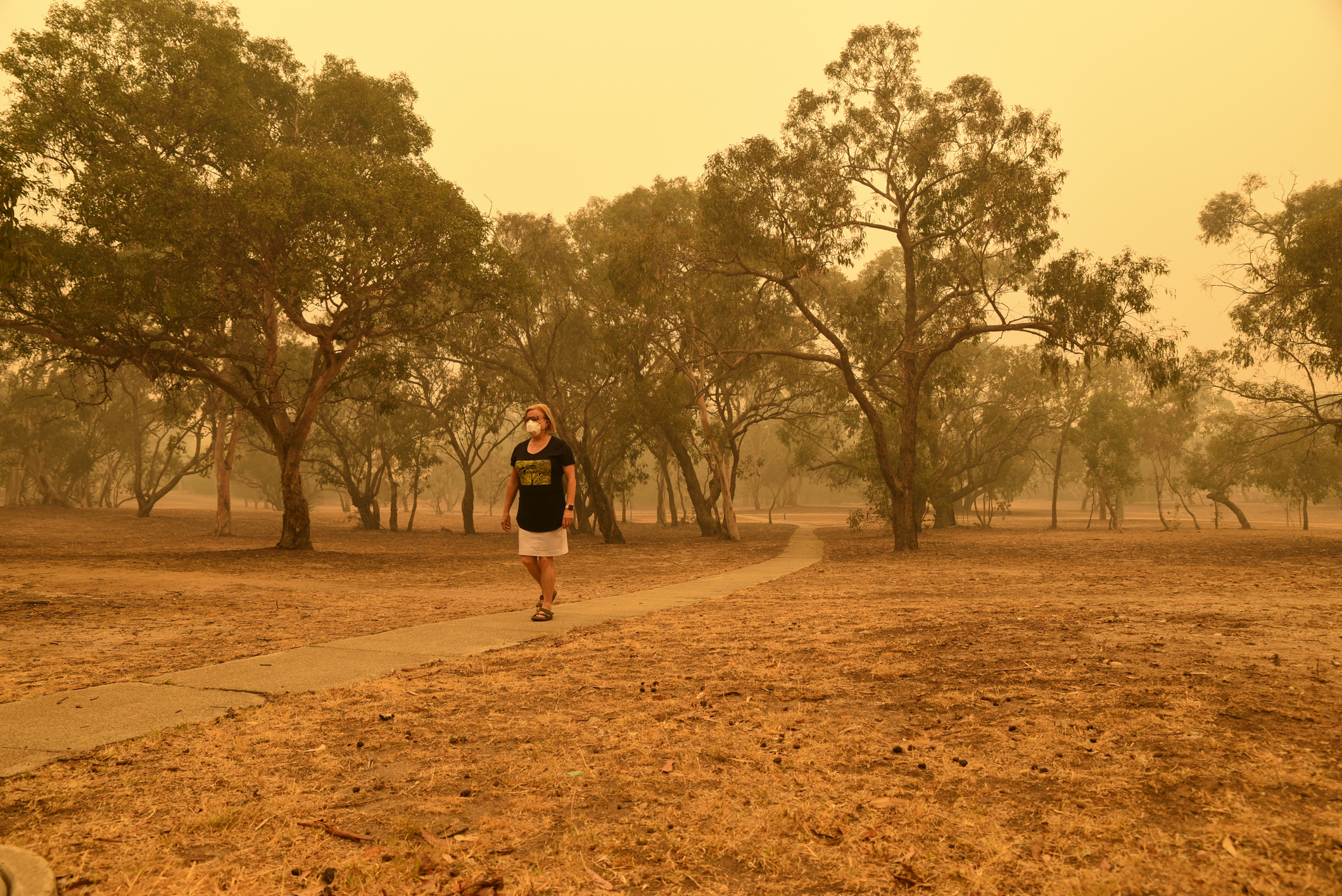 Canberra, Australia, 5/01/2020, Smoke coming from nearby forest fires creates high pollution and covers Canberra with a thick fog. People need to wear mask to breathe.