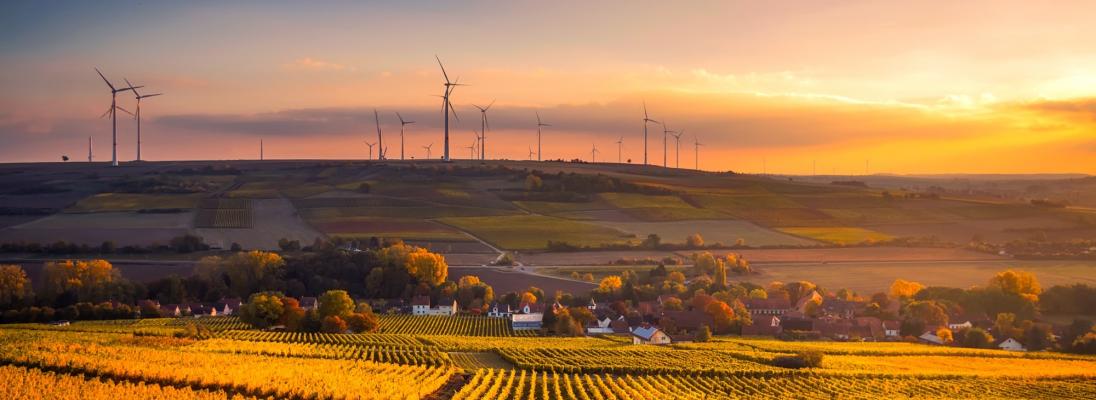 scenic view of agricultural field against sky during sunset