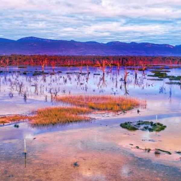 info on climate change