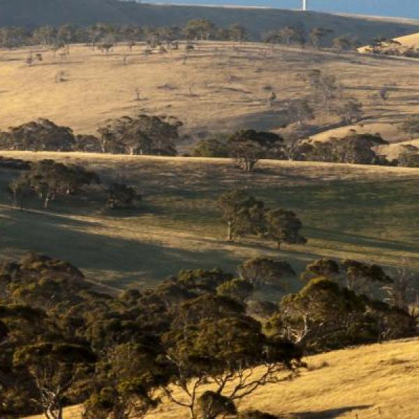 windfarm