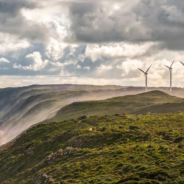 Wind turbines located near the coast at Albany Wind Farm in Western Australia.
