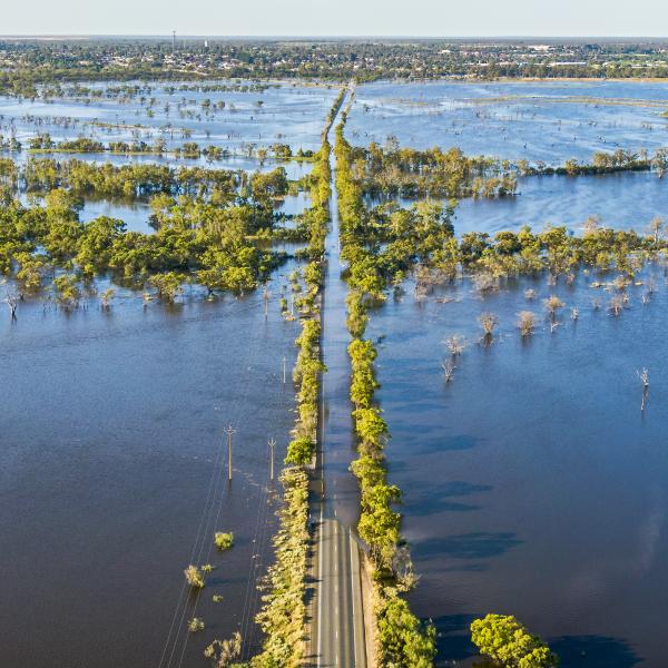 Australian road and surrounding bush during a flood