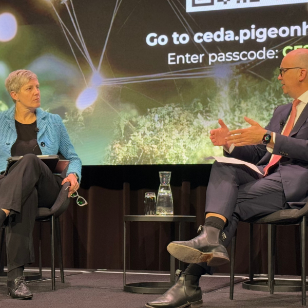 Matt Kean speaking with CEDA CEO