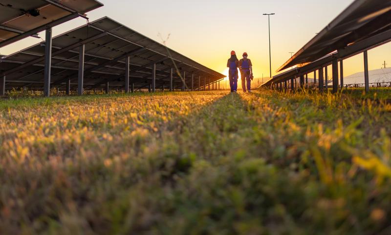 Two coworkers walking and discussing their tasks while surrounded by solar panels.
