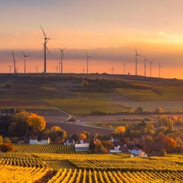 scenic view of agricultural field against sky during sunset