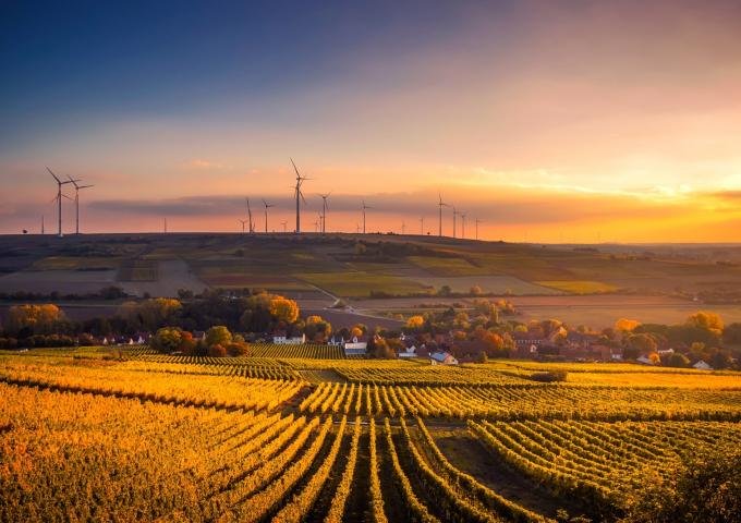 scenic view of agricultural field against sky during sunset