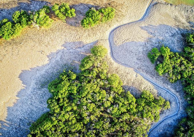 Mangroves and Estuaries