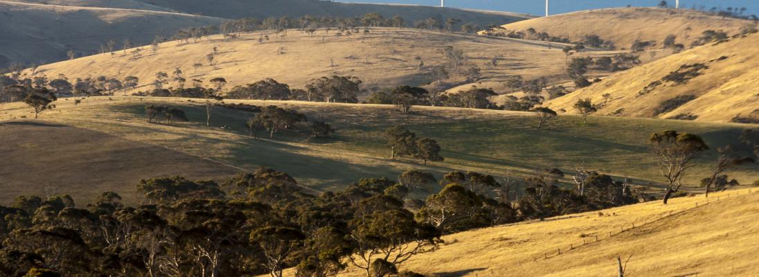 windfarm