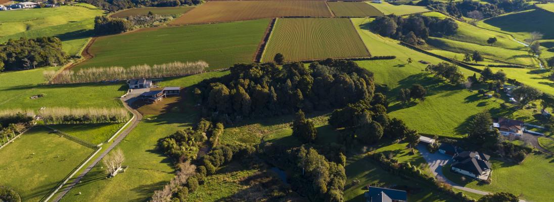 Economic impact of climate change on agriculture picture